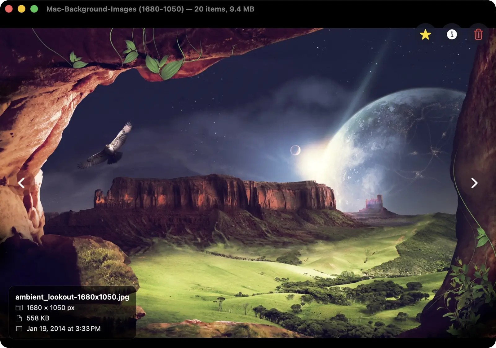 Image Viewer with image info overlay and star indicator visible